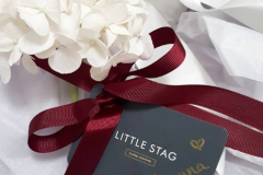 LittleStag.Weddings