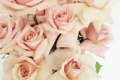 Floral table centre piece