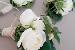 Groom's boutonniere