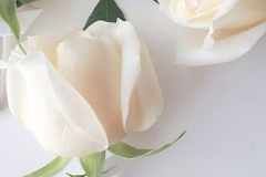 buttonhole flowers melbourne